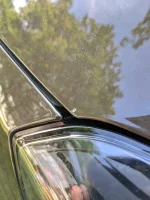 IMG_20190617_083840.webp