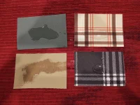 canvasback samples.webp