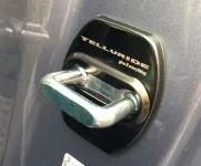 Door Striker Cover2.JPG Door Striker Cover2.JPG
