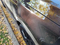 IMG_20201114_090929559.webp