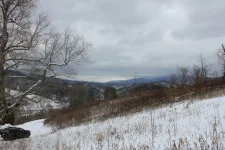 Jan 18 2021 (5).webp