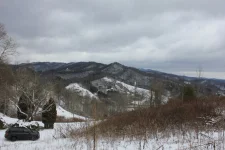 Jan 18 2021 (8).webp