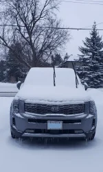 Snow Telly 1.webp