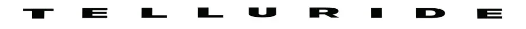 Telluride lettering6.webp