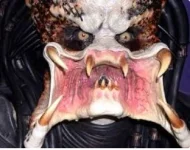Predator.webp