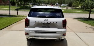 Palisade rear.webp