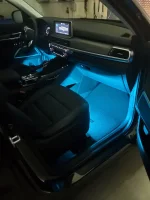 lights1.webp