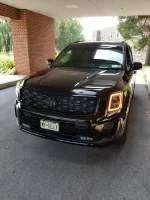 Black Unicorn 2.webp
