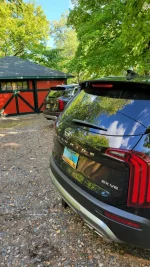 20210821_201946.webp