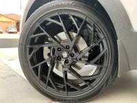 Newshoes11.webp
