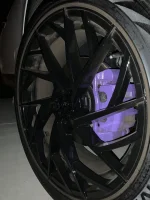 Purp.webp