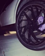 Purp2.webp