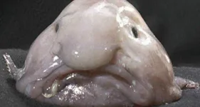 1657162104753.png