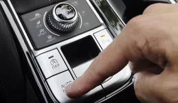 1000025550.webp 1000025550.webp