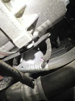 IMG_3358.webp IMG_3358.webp