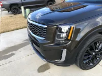 Front with Bug G.webp
