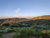 IMG_20200711_194859.webp