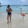 Slanderouspoppy