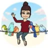 thebirdflock