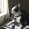smpete06