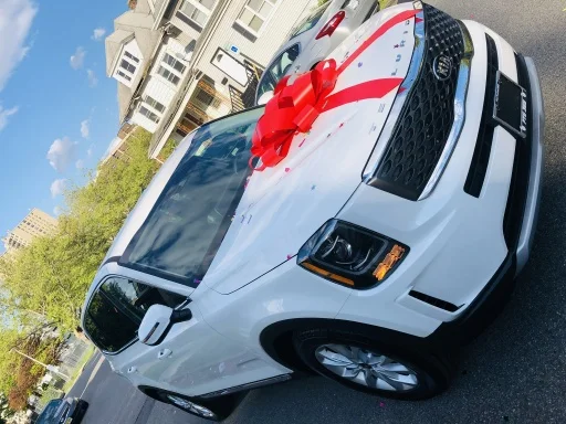 Could you do a "Blackout" grille on the SX? | Page 2 | Kia Telluride Forum