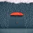 rainyday