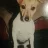 Cavedog