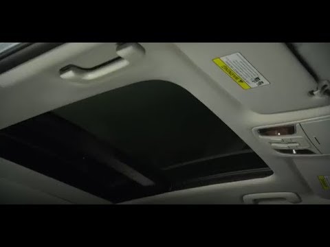 www.youtube.com